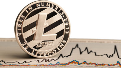 شرح تعدين لايتكوين Litecoin LTC